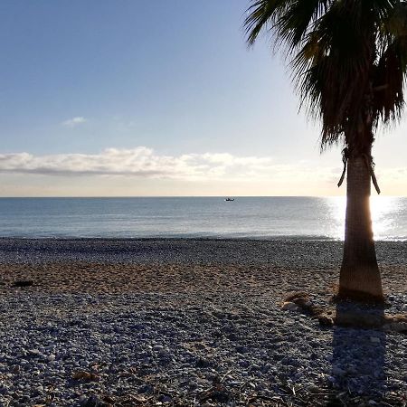Appartement 2P Et Parking Prive A 50M Des Plages. Villeneuve-Loubet Ngoại thất bức ảnh