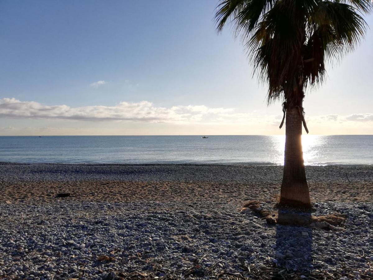 Appartement 2P Et Parking Prive A 50M Des Plages. Villeneuve-Loubet Ngoại thất bức ảnh